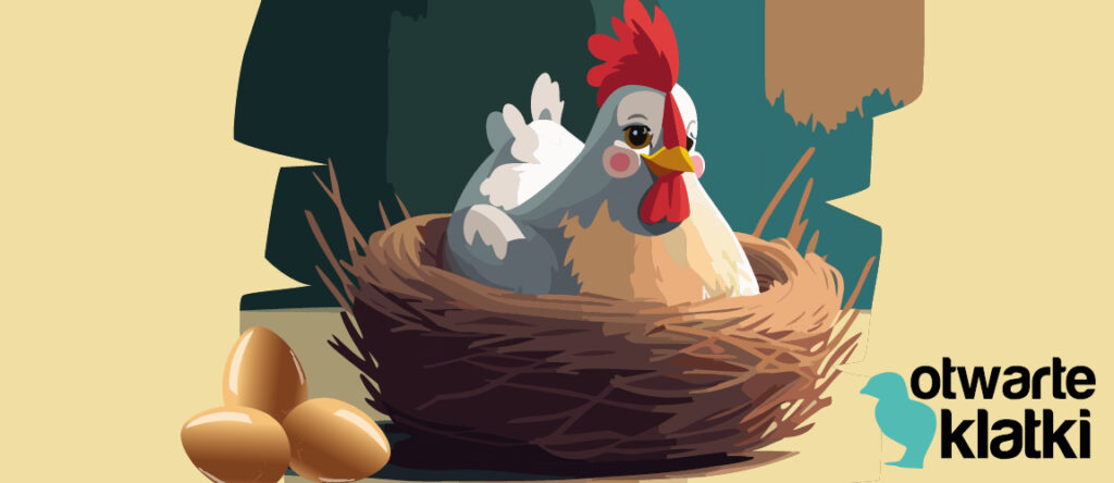 Otwarte Klatki – wspieramy dobrostan zwierząt hodowlanych