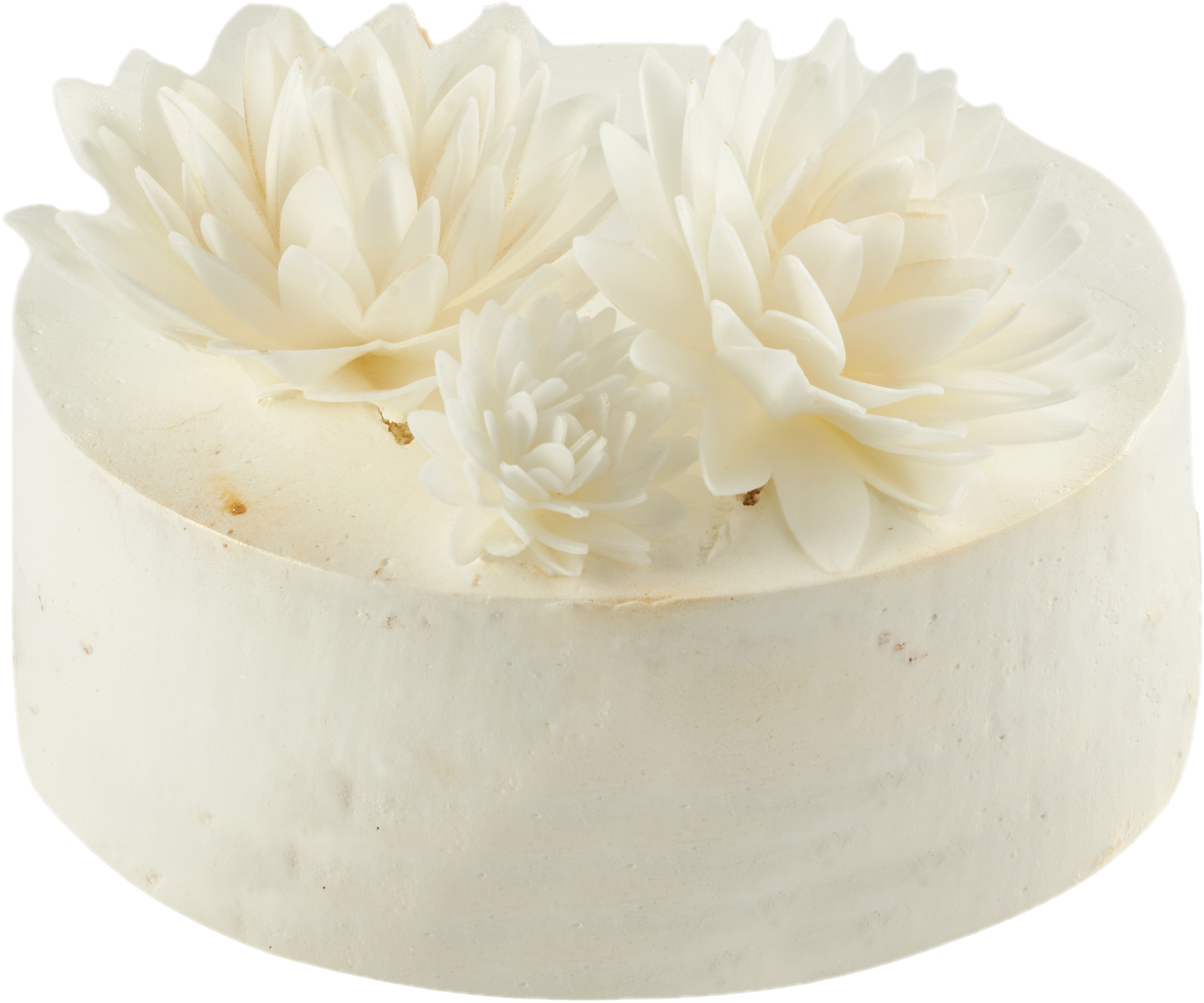 Tort Astry